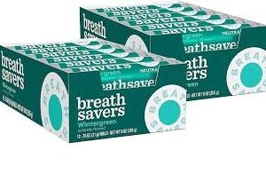 BREATH SAVERS Wintergreen S-f Mints (0.75 oz., 24 ct.)