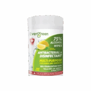 Evergreen 100ct 75% Alcohol Antibacterial Wipes