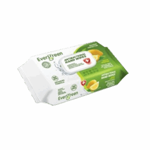 Evergreen 100ct Antibacterial Hand Wipes