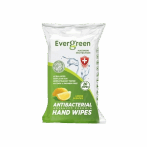 Evergreen 20ct Antibacterial Hand Wipes